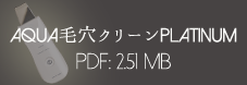 Platinum取扱説明書（PDF版）